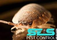 SES Flea Control Melbourne image 2